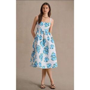 New Anthropologie Sachin & Babi Blaine Chinoiserie Taffeta SquareNeck Midi Sz14